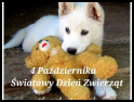 zdjecie Betus