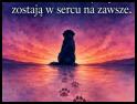zdjecie Benuś