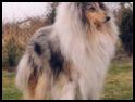 zdjecie ''Keffi''